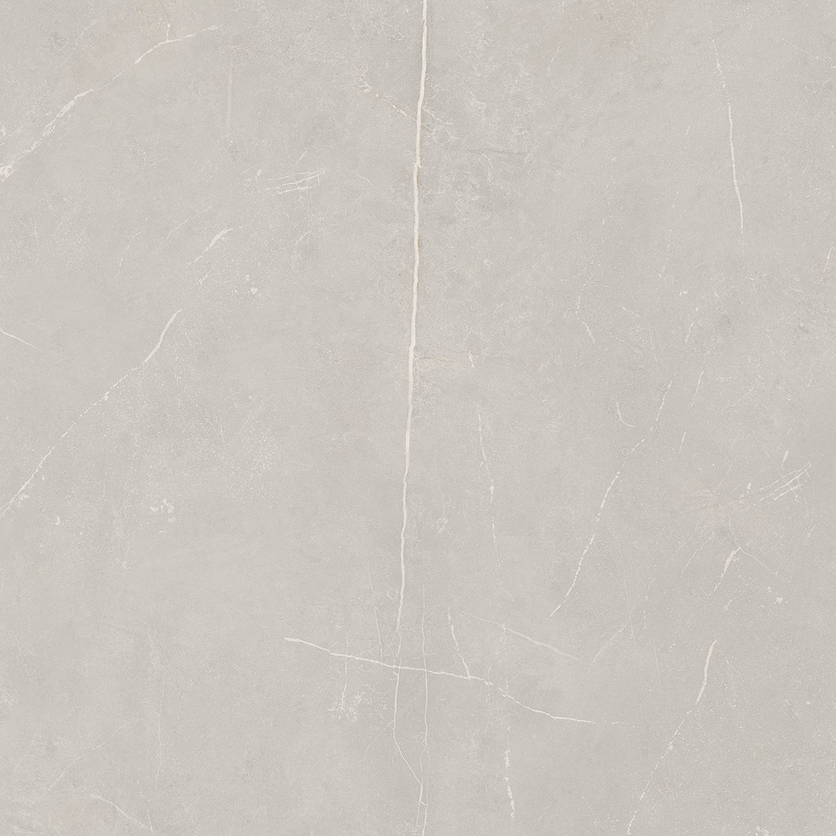 NL02 Nolana Light Grey 600x600 неполированный серый