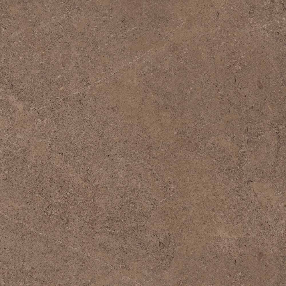 GO02 Gobi Dark Beige 600x600 неполированный бежевый