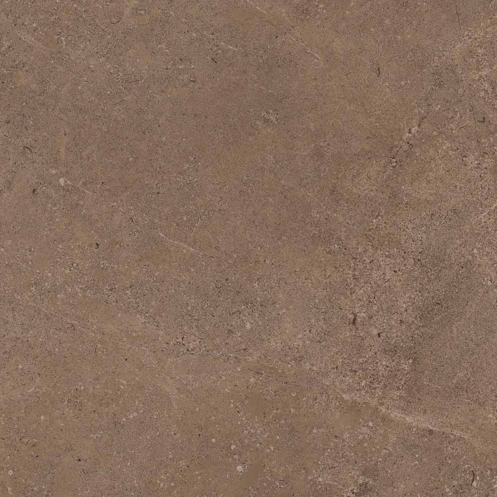 GO02 Gobi Dark Beige 600x600 неполированный бежевый