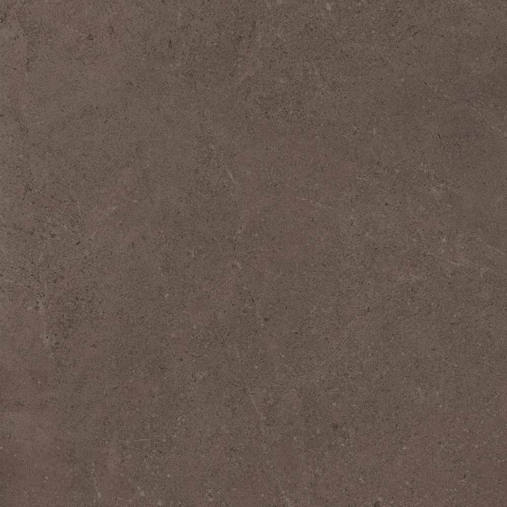 GO03 Gobi Brown Grey 600x600 неполированный коричневый