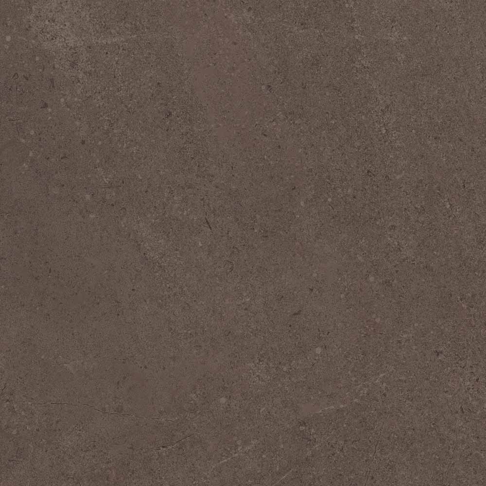 GO03 Gobi Brown Grey 600x600 неполированный коричневый